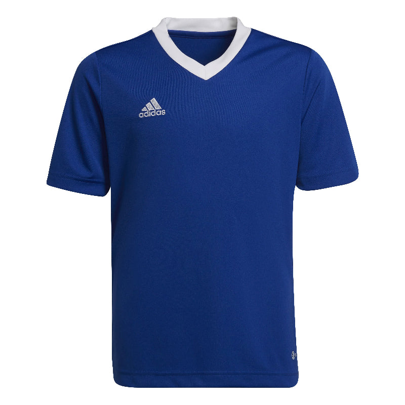 adidas entrada shirt