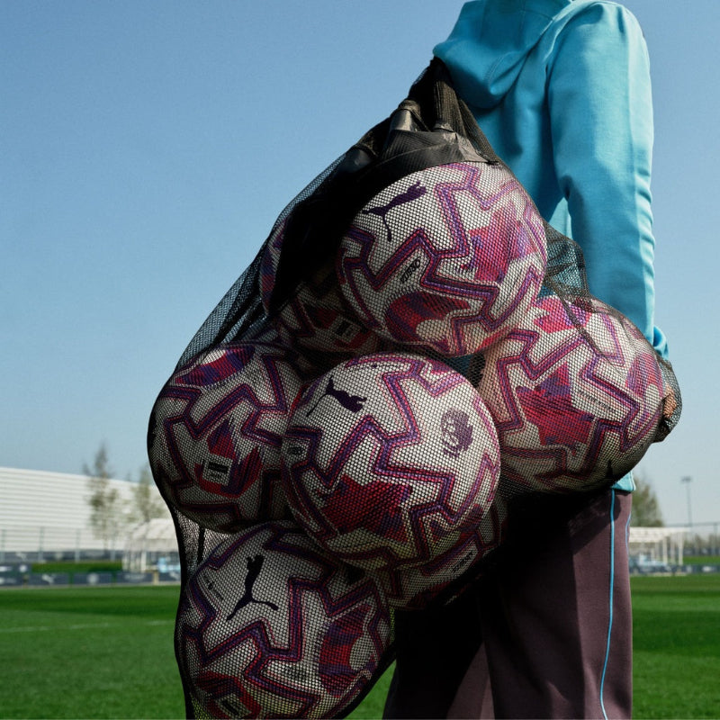Puma premier league ball